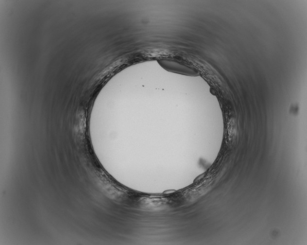 X0000096650372200803041154