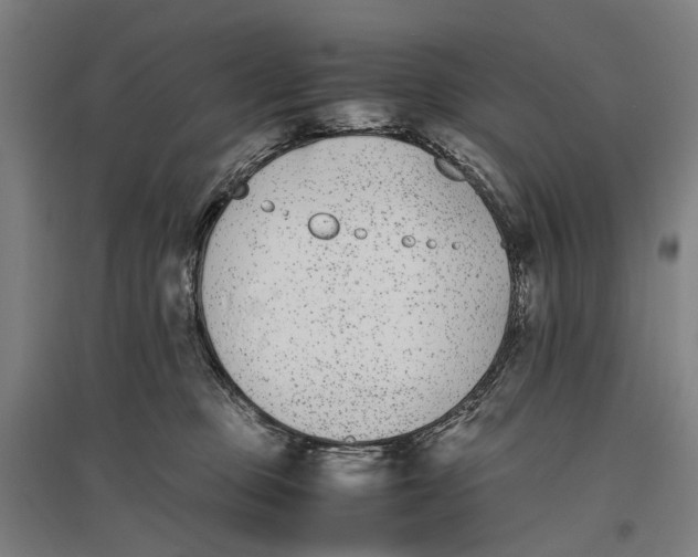 X0000096650373200803041154