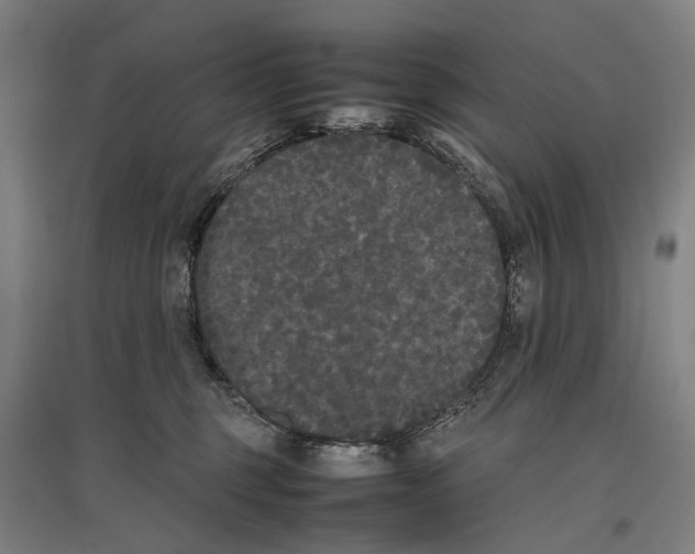 X0000096650375200803041154