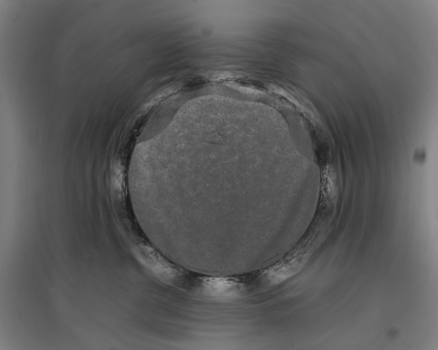 X0000096650380200803041154