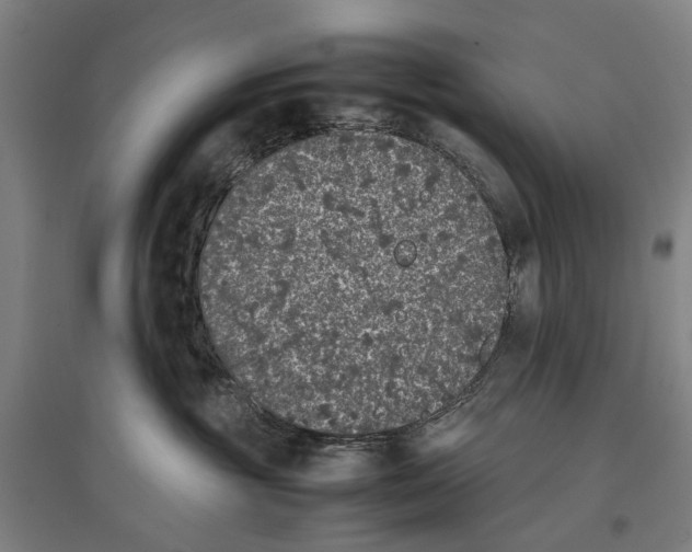 X0000096650381200803041154