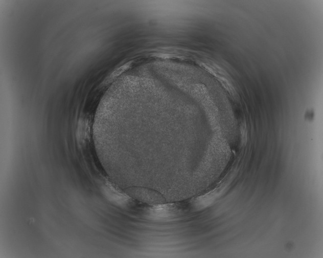 X0000096650382200803041155