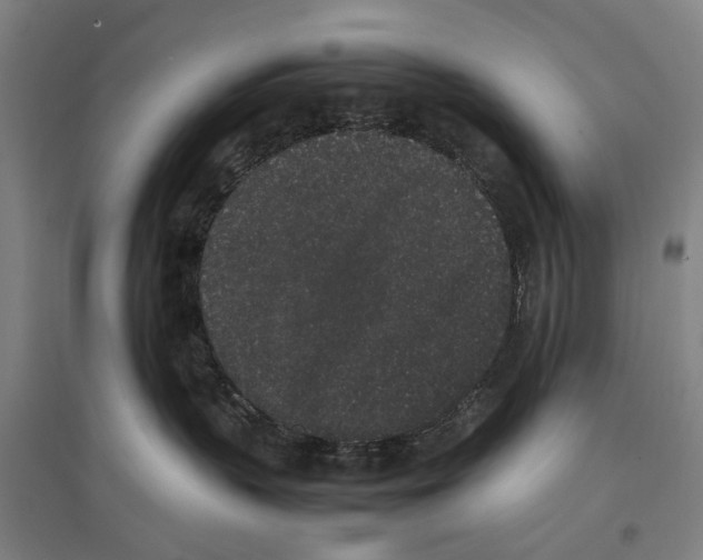 X0000096650383200803041155