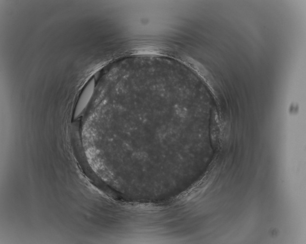 X0000096650385200803041154