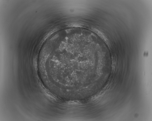 X0000096650386200803041154