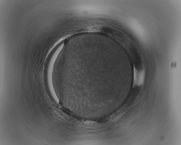 X0000096650387200803041154