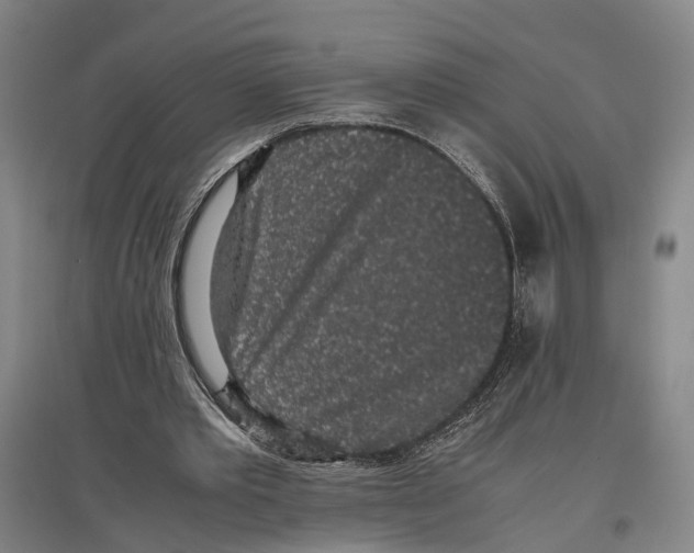 X0000096650389200803041154