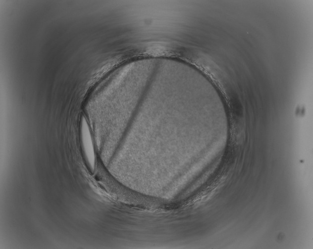 X0000096650393200803041154