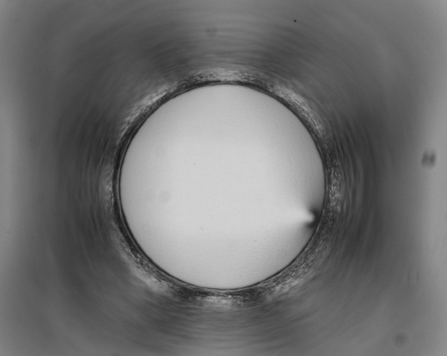 X0000096650394200803041154