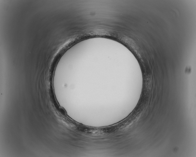 X0000096650395200803041154