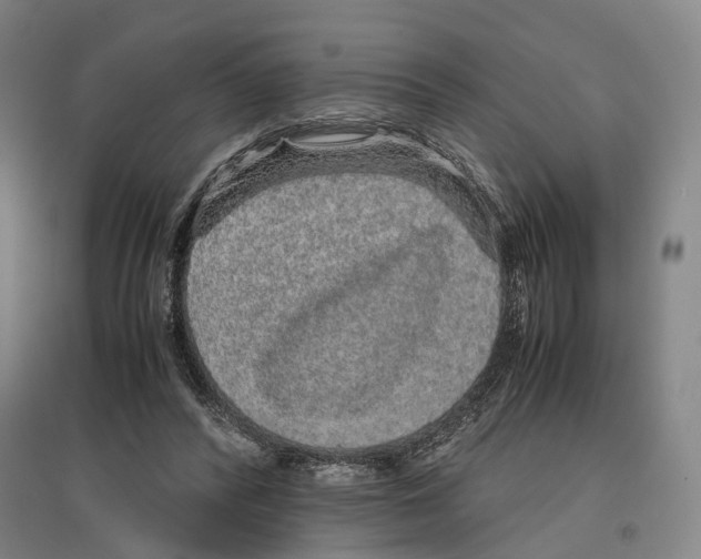 X0000096650400200803041153