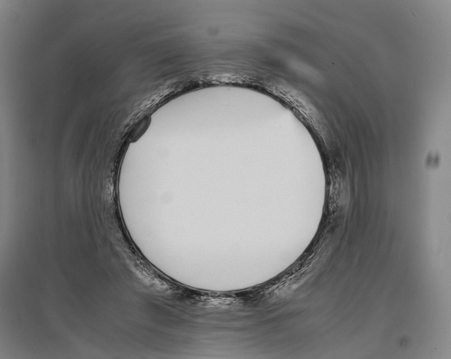 X0000096650401200803041153