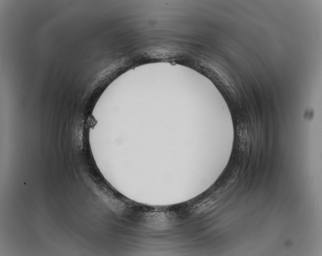 X0000096650404200803041153