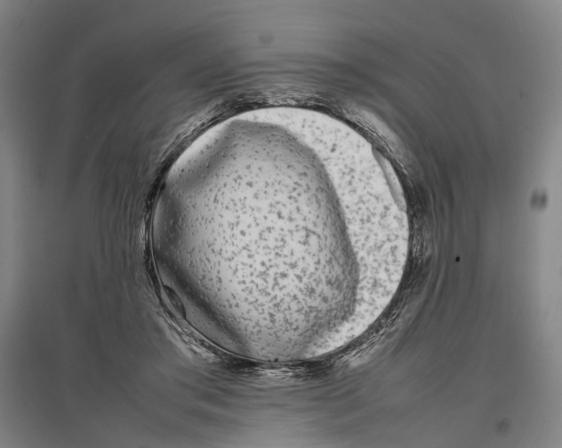 X0000096650405200803041153