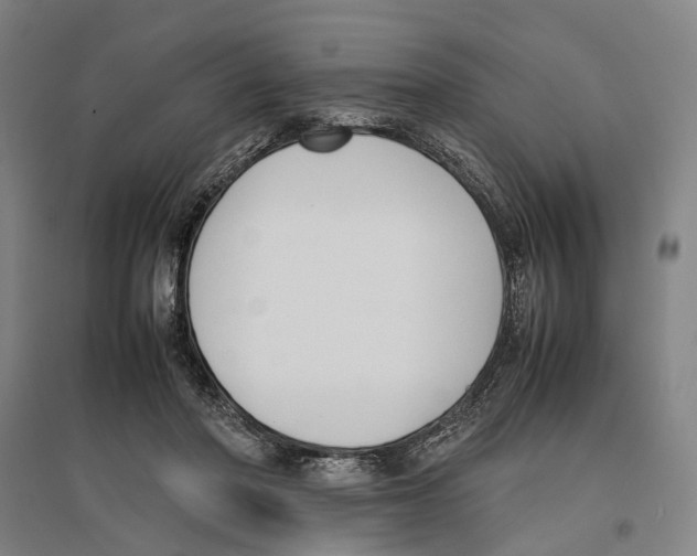 X0000096650406200803041153