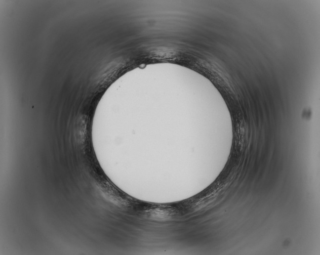 X0000096650412200803041153