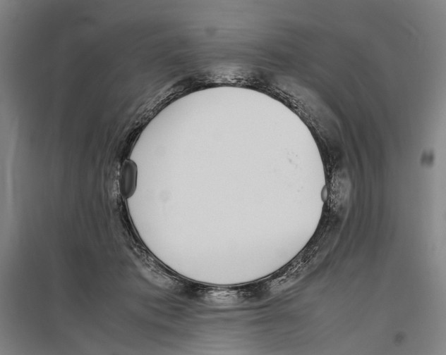 X0000096650413200803041153