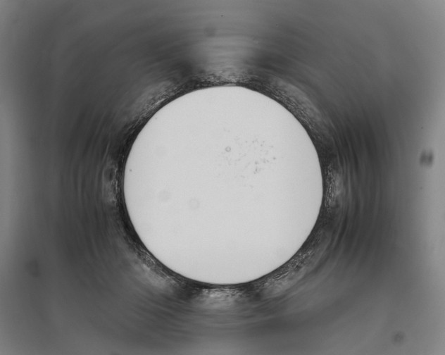 X0000096650414200803041153