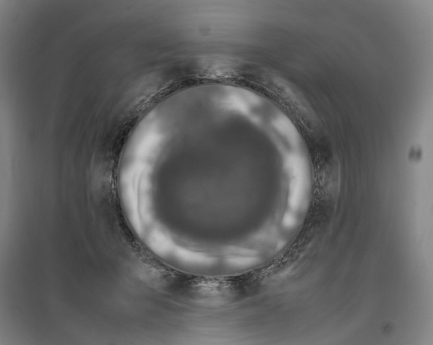 X0000096650415200803041153