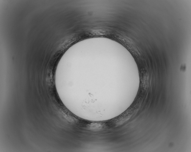 X0000096650418200803041153