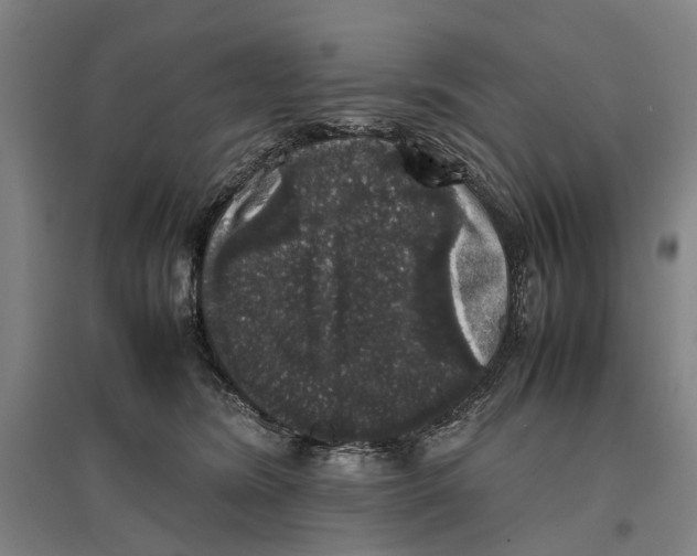 X0000096650420200803041153