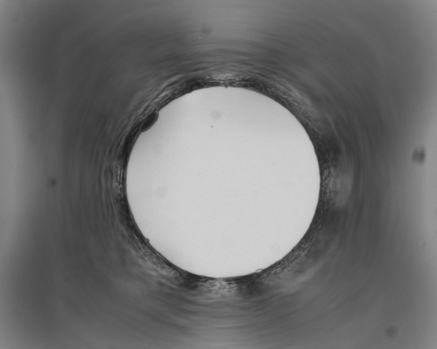 X0000096650421200803041153