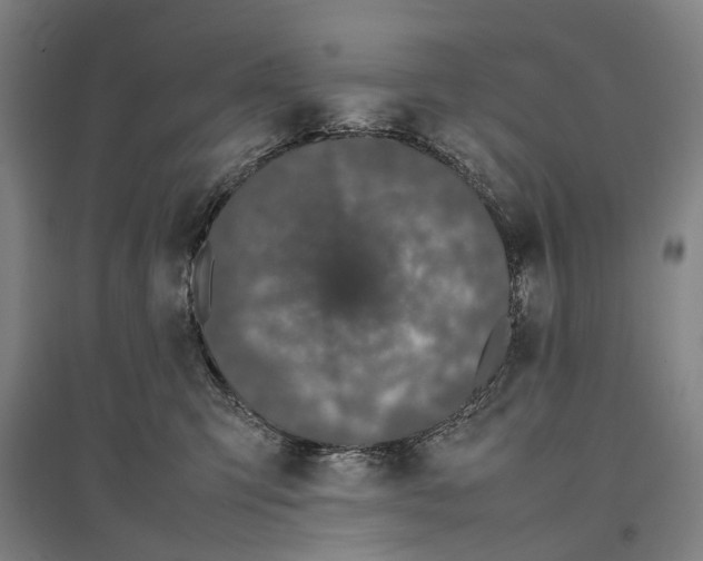 X0000096650423200803041153