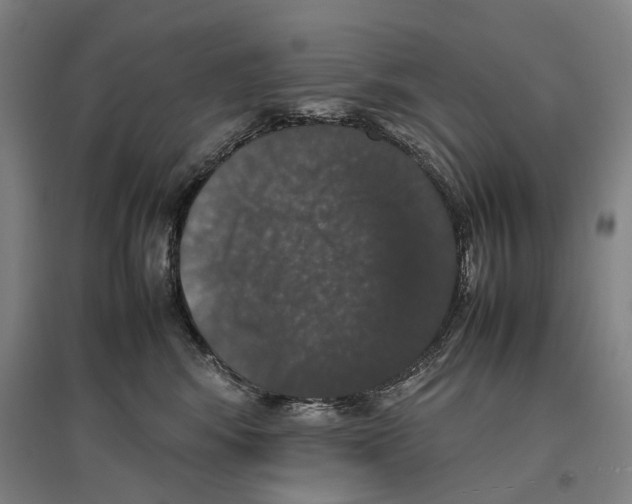 X0000096650424200803041153