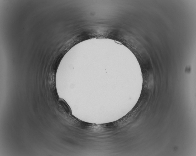 X0000096650425200803041153