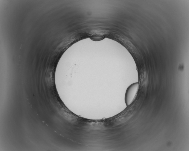 X0000096650426200803041153