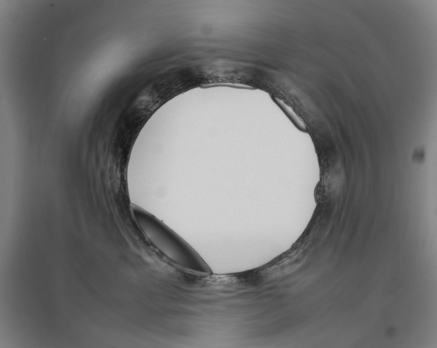 X0000096650429200803041153