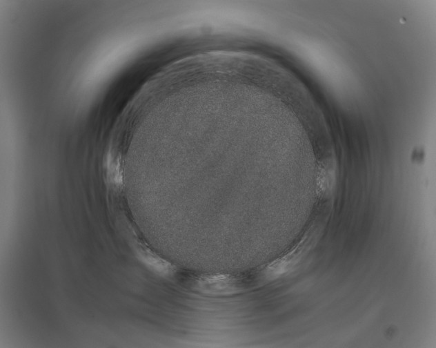 X0000096650431200803041153