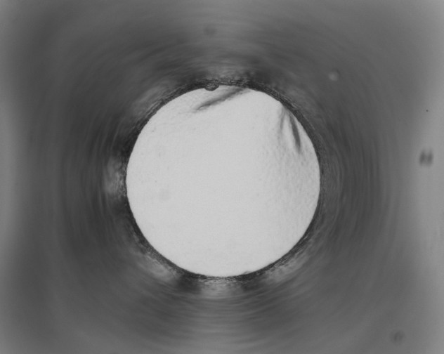 X0000096650432200803041153