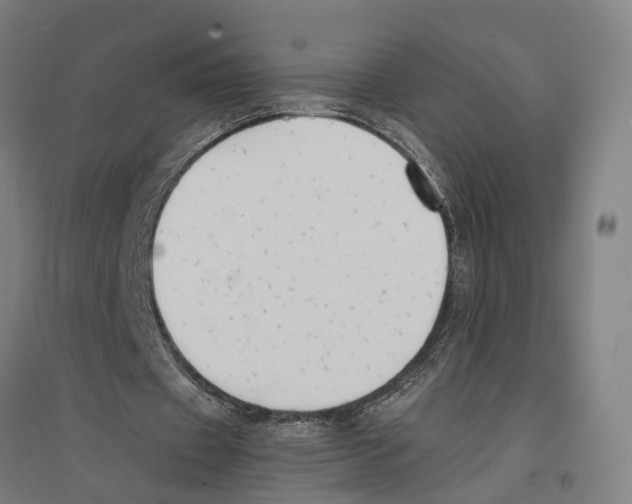 X0000096650433200803041152