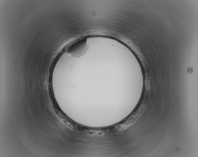 X0000096650434200803041152