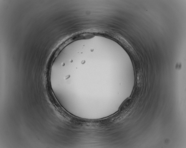 X0000096650436200803041152