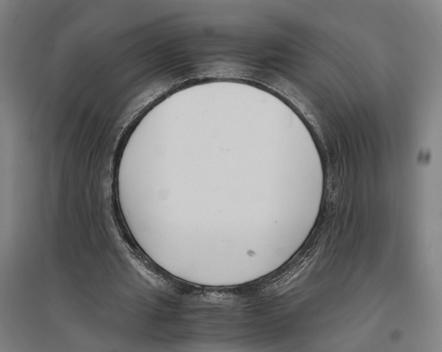 X0000096650437200803041152