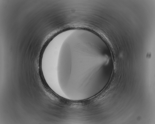 X0000096650438200803041152