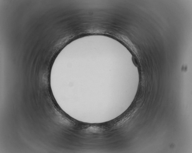 X0000096650441200803041153