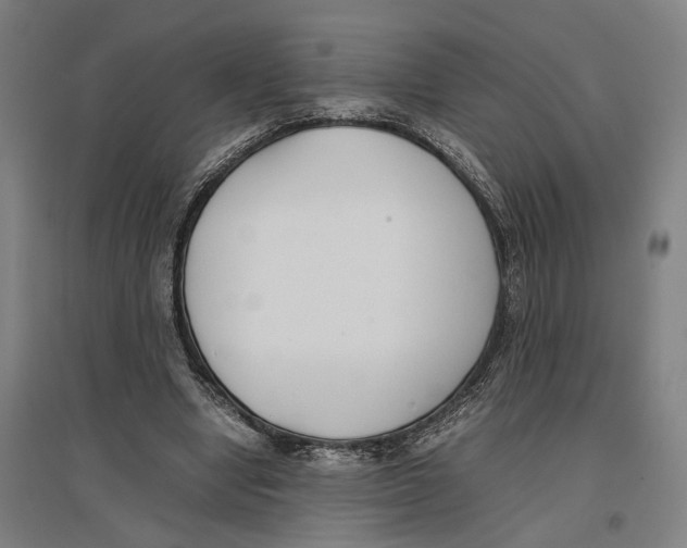 X0000096650442200803041153