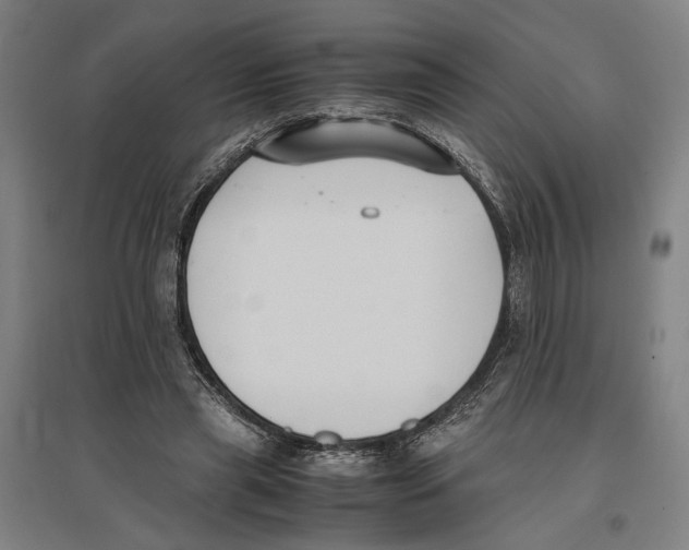 X0000096650445200803041153