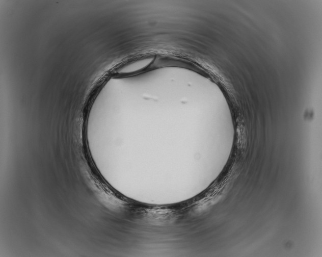 X0000096650446200803041153