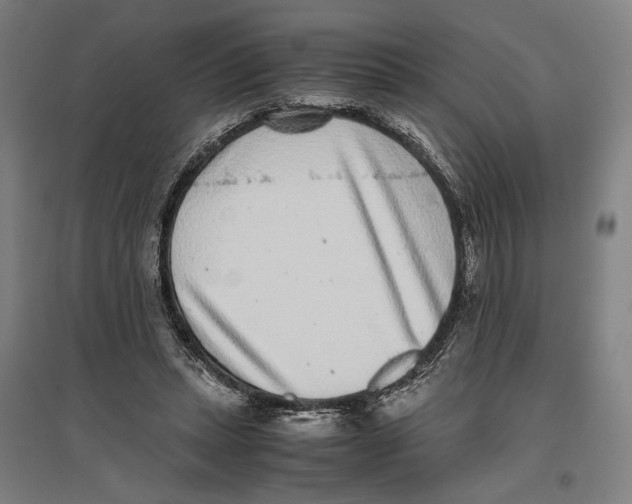 X0000096650447200803041153