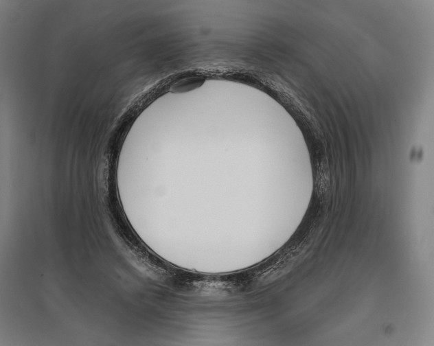 X0000096650448200803041153