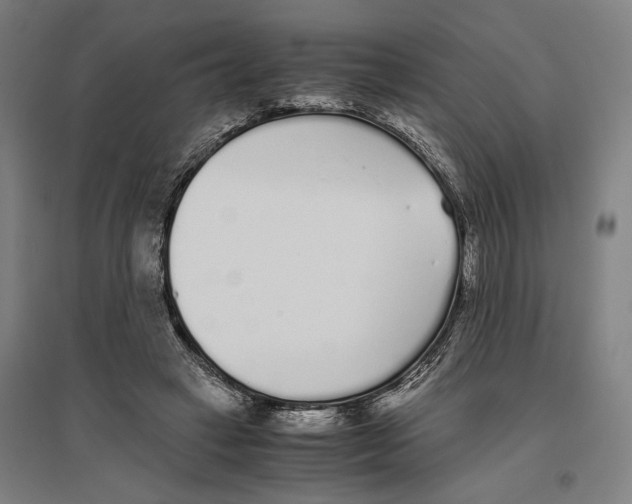 X0000096650449200803041153