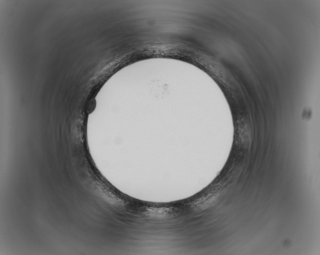 X0000096650450200803041153