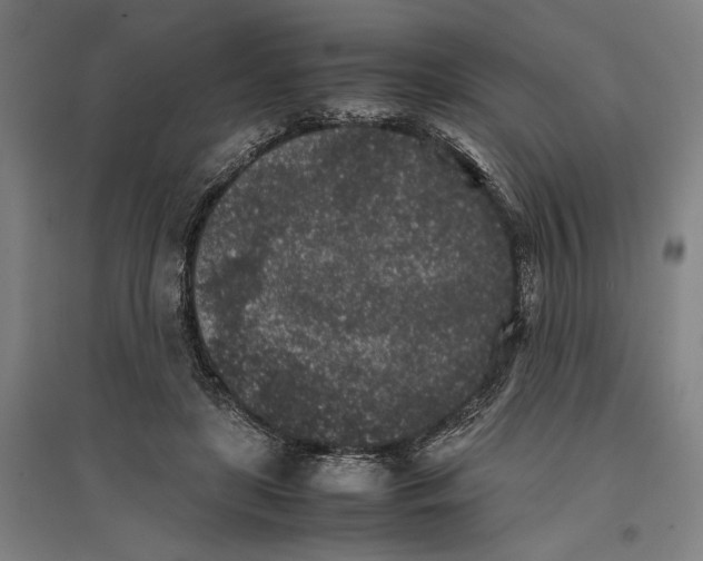 X0000096650451200803041153