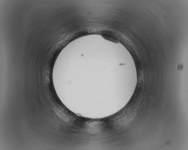 X0000096650452200803041153