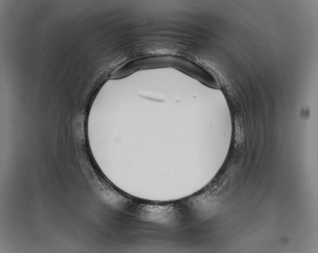 X0000096650453200803041153