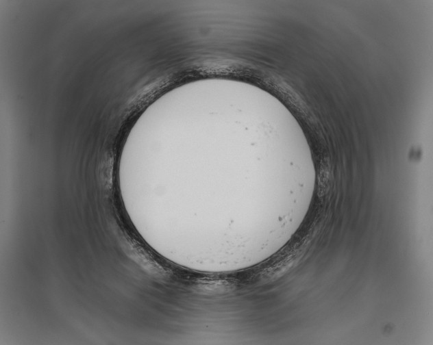 X0000096650454200803041153